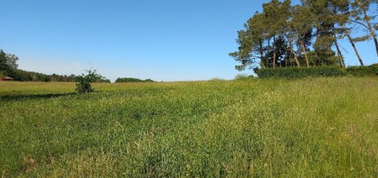 Terrain à bâtir à Échourgnac, Nouvelle-Aquitaine