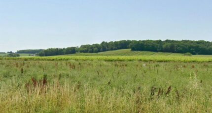 Flaugeac Terrain à bâtir - 2409342-7107annonce120260127tlmcl.jpeg Maisons Open