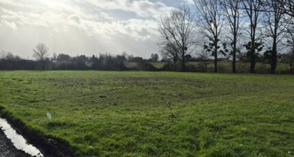 Saint-Ciers-Champagne Terrain à bâtir - 2440092-11760annonce220260225JP4pu.jpeg Maisons Open