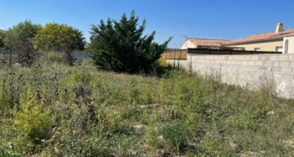 Pierrelatte Terrain à bâtir - 2429521-6150annonce120231221fPznA.jpeg Maisons Open