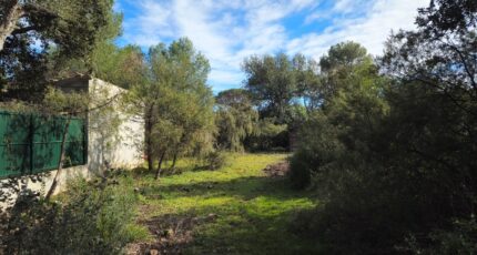 Le Cannet-des-Maures Terrain à bâtir - 2441111-11723annonce220260226qOQ4R.jpeg Maisons Open