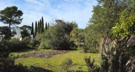 Le Cannet-des-Maures Terrain à bâtir - 2441111-11723annonce4202602263qFCg.jpeg Maisons Open