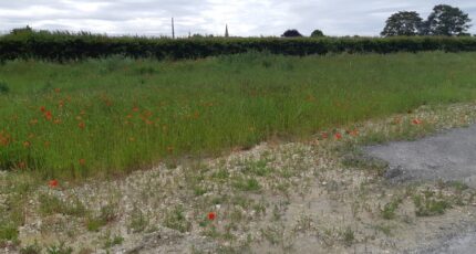 Mazingarbe Terrain à bâtir - 2439912-5754annonce120260225Npa50.jpeg Maisons Open