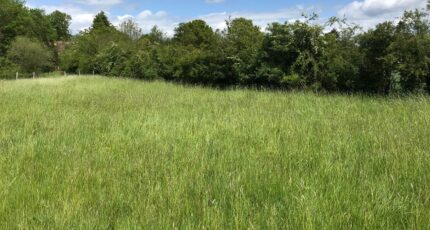 Sainte-Opportune-du-Bosc Terrain à bâtir - 2441624-9487annonce120260226g6ntP.jpeg Maisons Open