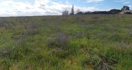 Saint-Jean Terrain à bâtir - 2440822-5202annonce220260225QH1Ln.jpeg Maisons Open