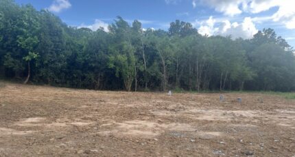 Castres-Gironde Terrain à bâtir - 2441689-1803annonce120260226lcDOI.jpeg Maisons Open