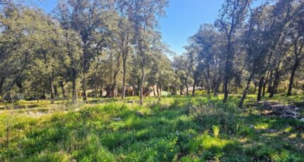 Le Thoronet Terrain à bâtir - 2441805-11723annonce120260226zBpTE.jpeg Maisons Open