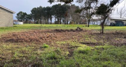 Bassanne Terrain à bâtir - 2441985-10677annonce120260226DCbHv.jpeg Maisons Open