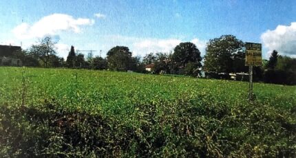 Chalautre-la-Petite Terrain à bâtir - 2442194-4032annonce120260226GkQZB.jpeg Maisons Open