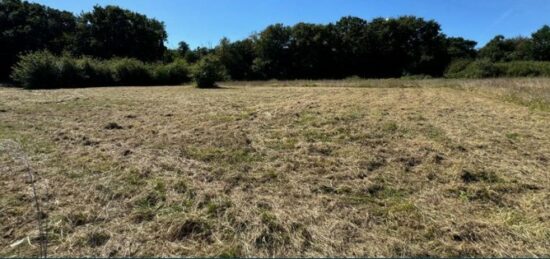 Terrain à bâtir à Saint-Palais-sur-Mer, Nouvelle-Aquitaine