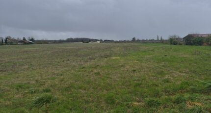 Salles-d'Angles Terrain à bâtir - 2441085-11760annonce2202602254KgBV.jpeg Maisons Open