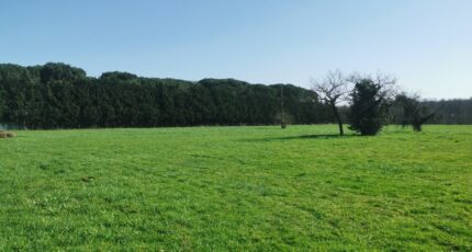 Landiras Terrain à bâtir - 2440970-9573annonce120260225GHpKT.jpeg Maisons Open