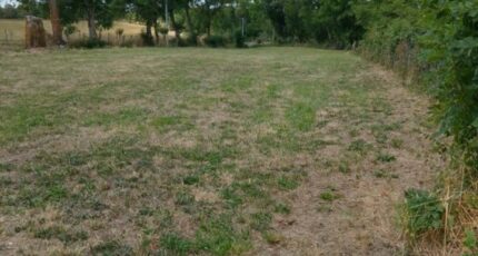 Tourtoirac Terrain à bâtir - 2396226-11235annonce1202601170bU7K.jpeg Maisons Open