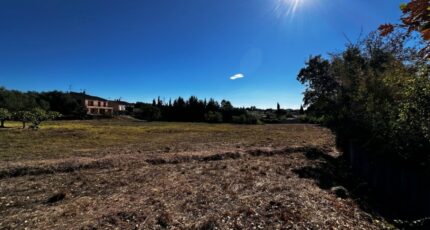 Puget-sur-Argens Terrain à bâtir - 2442469-11157annonce120260227ZKw7T.jpeg Maisons Open