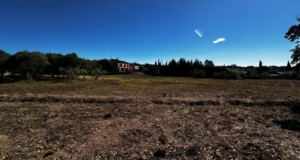 Puget-sur-Argens Terrain à bâtir - 2442469-11157annonce220260227gso3I.jpeg Maisons Open