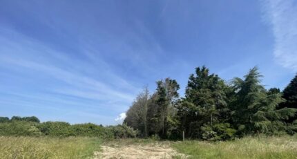 L'Île-d'Olonne Terrain à bâtir - 2441896-11105annonce1202602260FROQ.jpeg Maisons Open