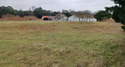 Notre-Dame-de-Monts Terrain à bâtir - 2435098-11728annonce120260219TJOxU.jpeg Maisons Open