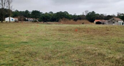 Notre-Dame-de-Monts Terrain à bâtir - 2435098-11728annonce220260219gxlQX.jpeg Maisons Open