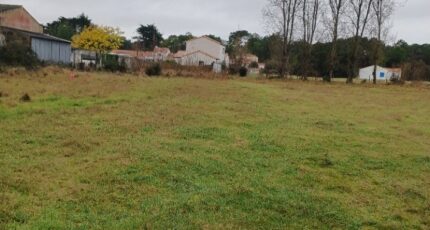 Notre-Dame-de-Monts Terrain à bâtir - 2435098-11728annonce420260219pBtNG.jpeg Maisons Open