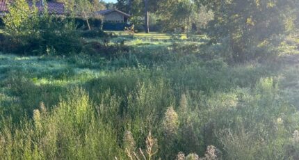 Cestas Terrain à bâtir - 2402935-10895annonce120260122oPUNy.jpeg Maisons Open