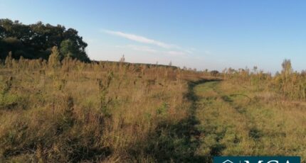 Préchacq-les-Bains Terrain à bâtir - 2443174-5828annonce1202503140zKRG.jpeg Maisons Open