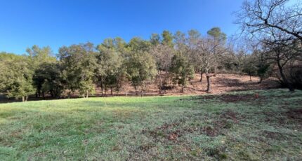 Taradeau Terrain à bâtir - 2443706-11723annonce120260227GH435.jpeg Maisons Open