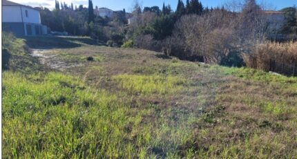 Alairac Terrain à bâtir - 2443602-10986annonce120260227MgXJV.jpeg Maisons Open