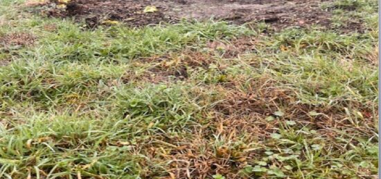 Terrain à bâtir à Cardan, Nouvelle-Aquitaine