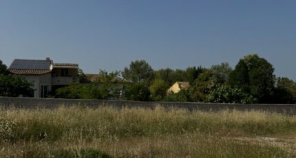 Saussines Terrain à bâtir - 2410693-11455annonce1202601283fnuM.jpeg Maisons Open