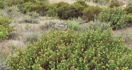 Toulouges Terrain à bâtir - 2348187-4671annonce120251125sJRQJ.jpeg Maisons Open