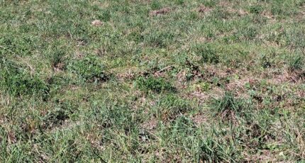 Toulouges Terrain à bâtir - 2348199-4671annonce120251125pUFuo.jpeg Maisons Open