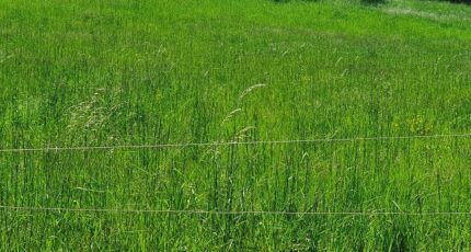 Toulouges Terrain à bâtir - 2348214-4671annonce120251125ID12f.jpeg Maisons Open