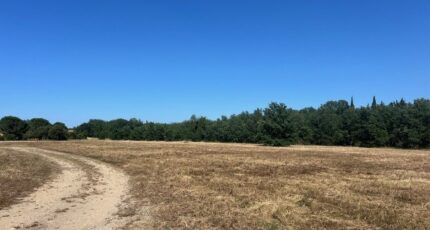 Thuir Terrain à bâtir - 2349090-4671annonce120251126VxFU8.jpeg Maisons Open