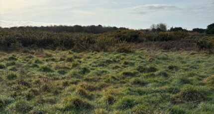 Pornic Terrain à bâtir - 2349726-11110annonce320251126u6qtT.jpeg Maisons Open