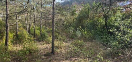 Terrain à bâtir à Brignoles, Provence-Alpes-Côte d'Azur
