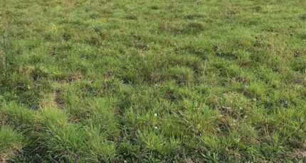 Juvigny-sous-Andaine Terrain à bâtir - 2348717-1153annonce1202511256Tv3x.jpeg Maisons Open