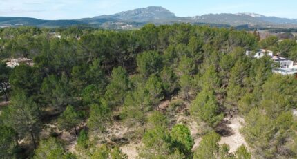 Le Triadou Terrain à bâtir - 2358236-3243annonce220251205iE0IS.jpeg Maisons Open