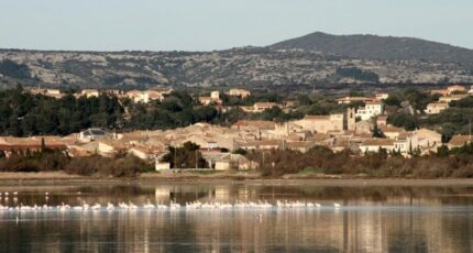 La Palme Terrain à bâtir - 2359672-4671annonce120251205FDKHp.jpeg Maisons Open