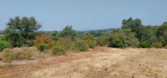 Terrain à bâtir à Fréjus, Provence-Alpes-Côte d'Azur