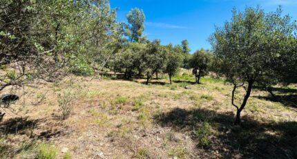 Les Arcs Terrain à bâtir - 2362196-4529annonce220251209i9HMz.jpeg Maisons Open