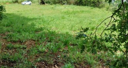 Puget-sur-Argens Terrain à bâtir - 2362444-11157annonce120251209hVoAN.jpeg Maisons Open