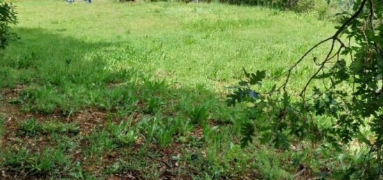 Terrain à bâtir à Puget-sur-Argens, Provence-Alpes-Côte d'Azur