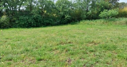 Puget-sur-Argens Terrain à bâtir - 2362444-11157annonce420251209ZT1fk.jpeg Maisons Open