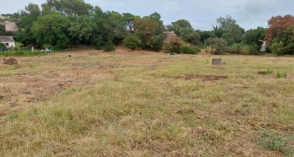 Fréjus Terrain à bâtir - 2362574-11157annonce420251209cXAI6.jpeg Maisons Open