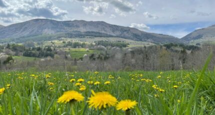 Gap Terrain à bâtir - 2362966-3921annonce220251210OGxV5.jpeg Maisons Open