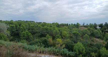 Combaillaux Terrain à bâtir - 2364034-11040annonce120251210eaOO8.jpeg Maisons Open