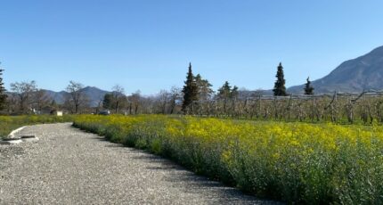 Ventavon Terrain à bâtir - 2364808-3921annonce120251211vWfVd.jpeg Maisons Open