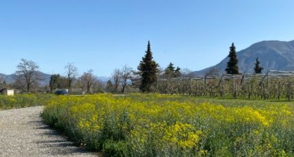 Ventavon Terrain à bâtir - 2364800-3921annonce320251211Iplyi.jpeg Maisons Open