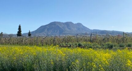 Ventavon Terrain à bâtir - 2364449-3921annonce12025121047Tlt.jpeg Maisons Open