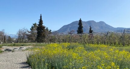 Ventavon Terrain à bâtir - 2364449-3921annonce3202512103u1o3.jpeg Maisons Open